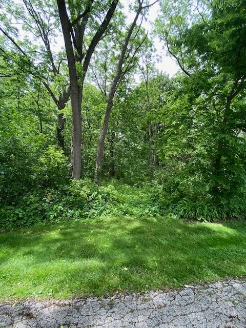 LOT 56 Beverly Way, Spring Grove, IL 60081 - photo 4