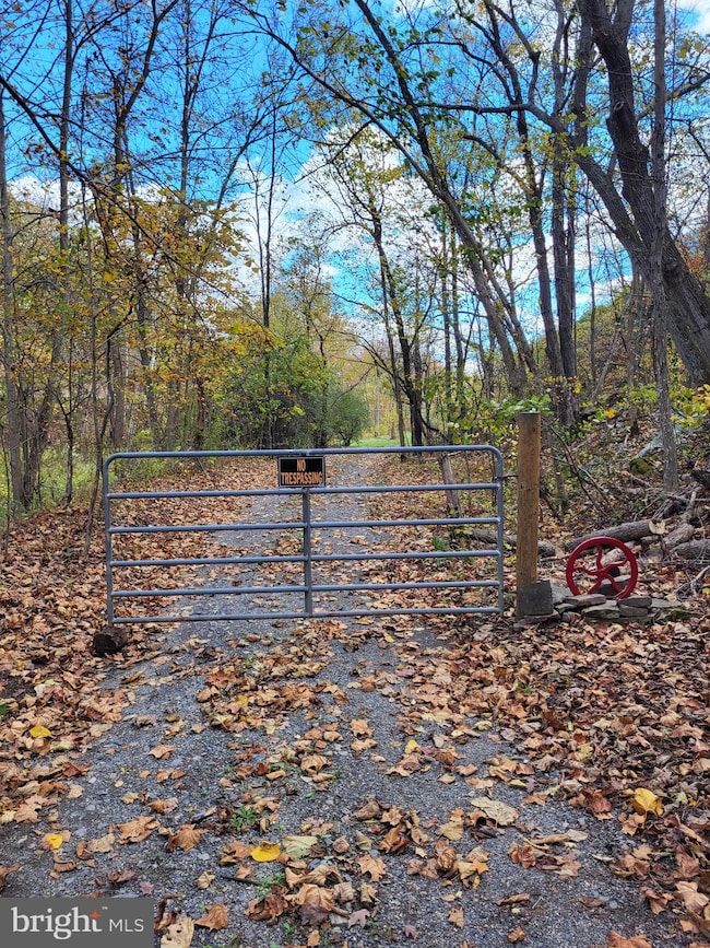 3536 J R Rannells Rd, Points, WV 26763 - photo 4