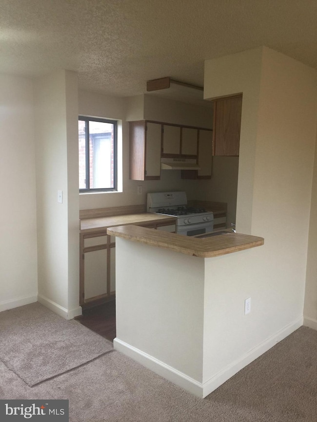 6 Galveston St SW unit 301, Washington, DC 20032 - photo 6