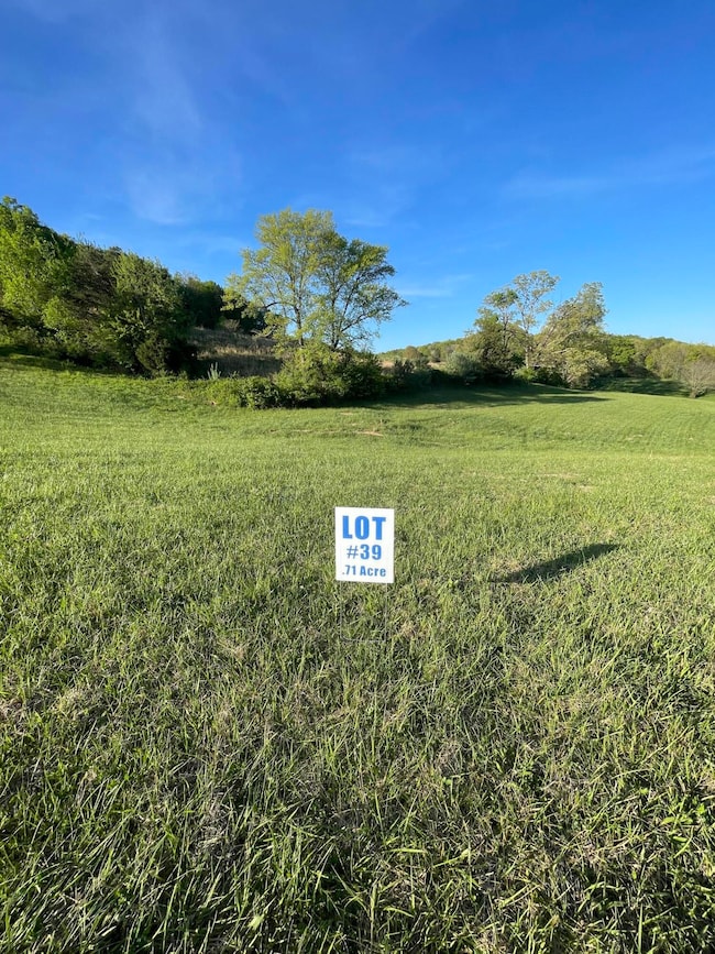 9999 Shiner Hill Phase II Lot #39, Williamsburg, KY 40769 - photo 3