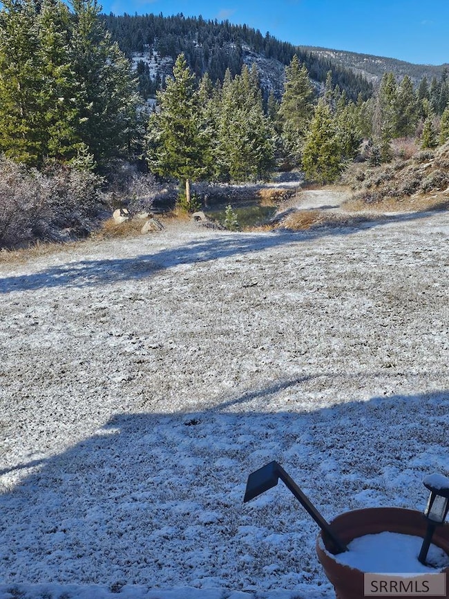 NKN Panther Creek Rd, Shoup, ID 83469 - photo 4