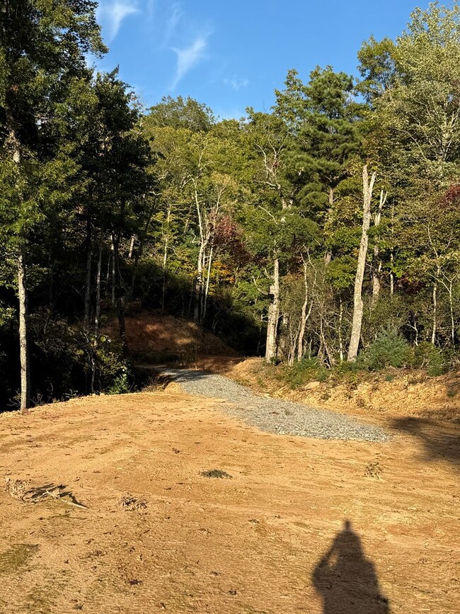 536 Cardinal Bluff Rd, Whittier, NC 28789 - photo 4