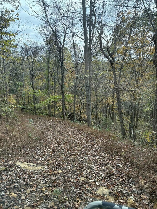 Pine Grove Ch Spur Rd, Vanceburg, KY 41179 - photo 5