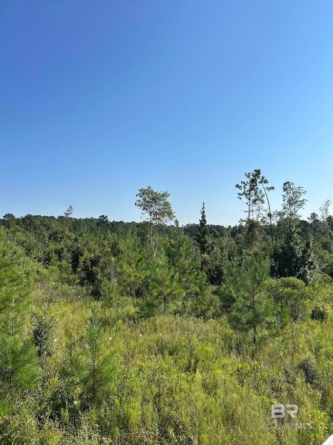 24300 Highway 41, Brewton, AL 36426 - photo 5