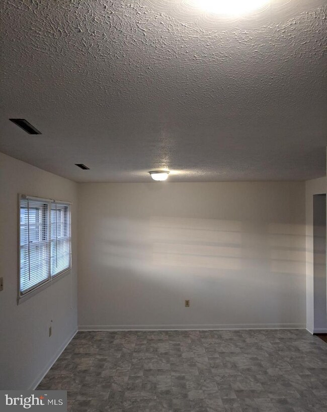 384 Aileen Ave, Strasburg, VA 22657 - photo 4