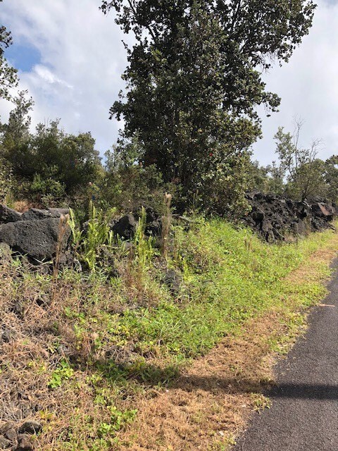 Lot with partial drive way off Palm Parkway