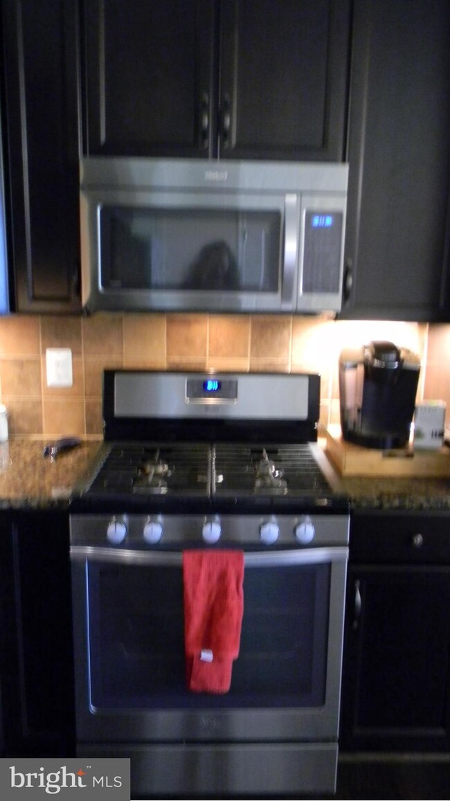 43021 Clarks Mill Terrace, Ashburn, VA 20148 - photo 5