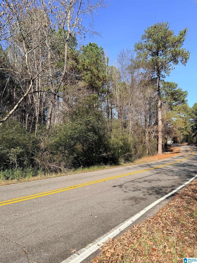 9400 Bradford Trafford Rd, Warrior, AL 35180 - photo 4
