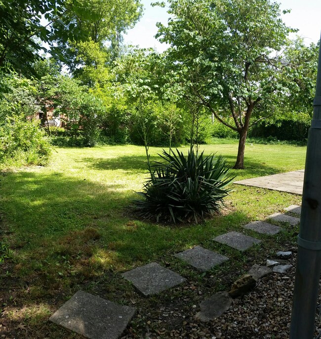 Stepping stones to back patio