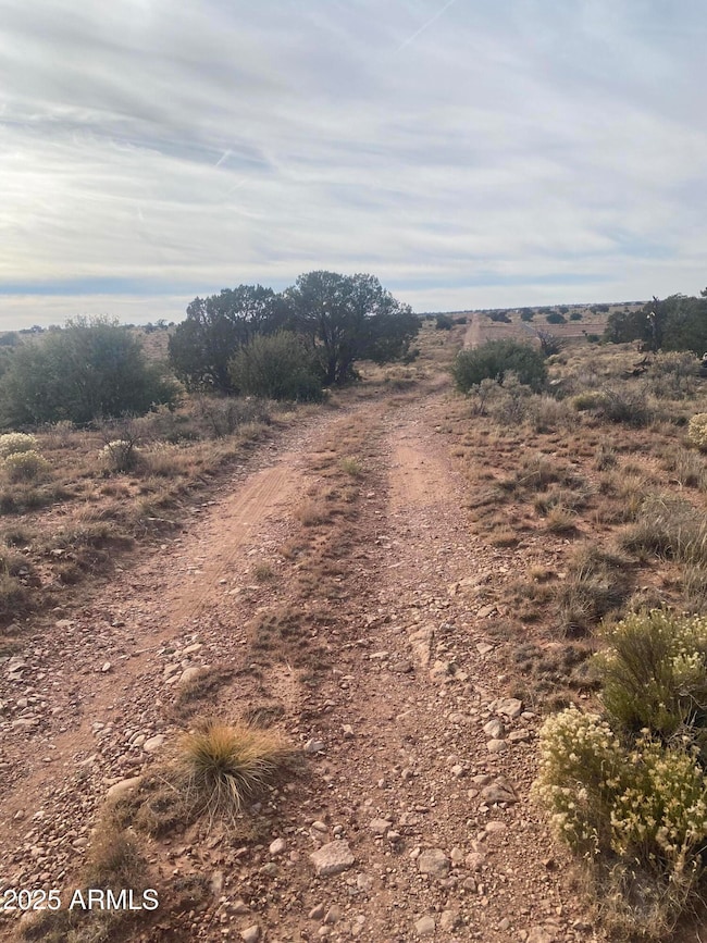 3147 E Silver Valley Rd unit 391, Valle, AZ 86046 - photo 4