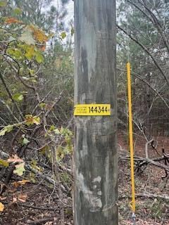 EBH A4-1A Wendell Ln unit EBH A4-1A, Wagener, SC 29164 - photo 7