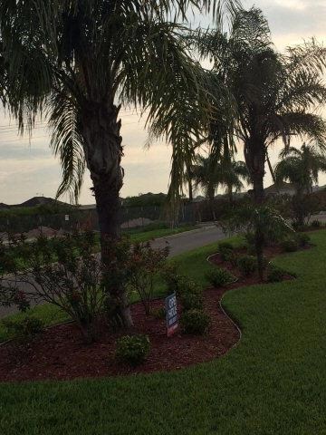 NN Zinnia St, Weslaco, TX 78599 - photo 3