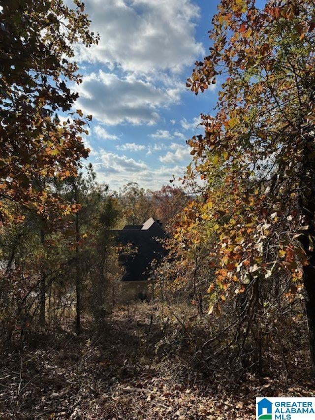 121 Crest Dr, Chelsea, AL 35043 - photo 2