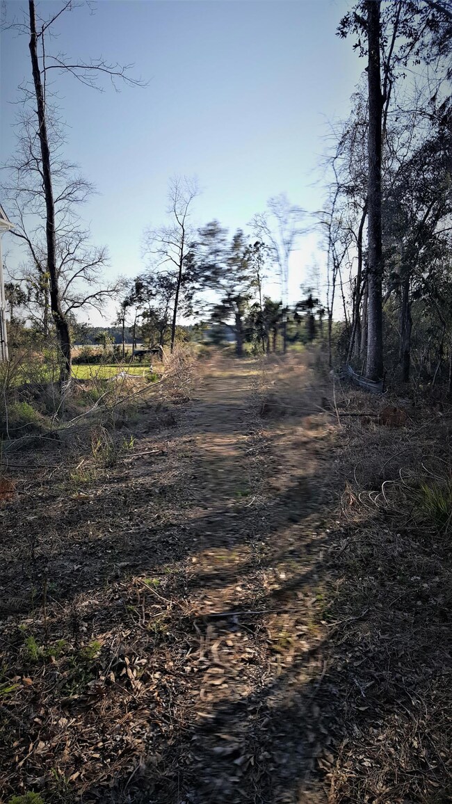 1456 Dupree Creek Rd, Awendaw, SC 29429 - photo 6