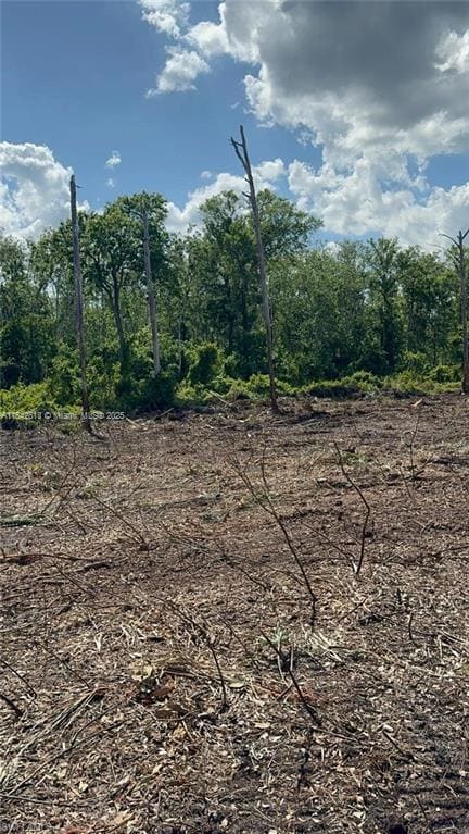 1 Catamount Rd, Other City - In the State of Florida, FL 33975 - photo 3