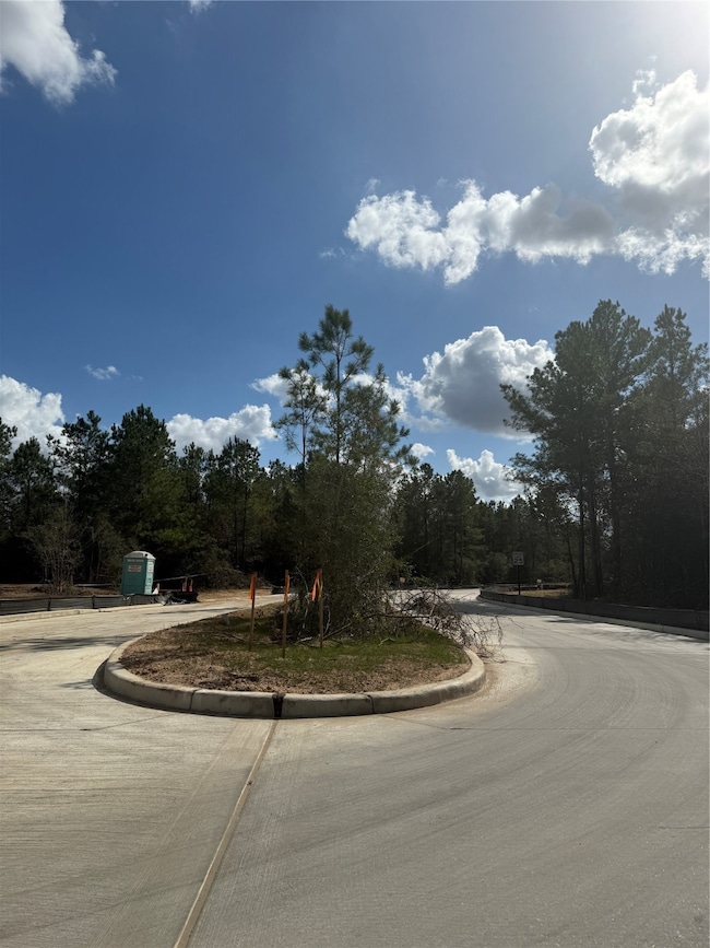 26747 Alderbrook Ave, Montgomery, TX 77316 - photo 3