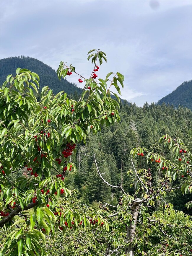 23398 Mt Highway 35, Bigfork, MT 59911 - photo 6