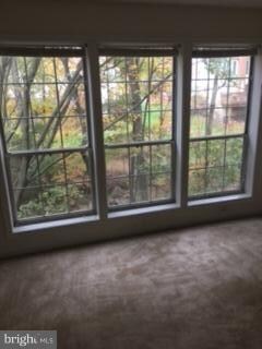 11984 Cardamom Dr unit 11984, Woodbridge, VA 22192 - photo 6