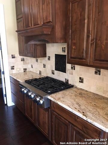 8442 Camp Verde Rio, San Antonio, TX 78255 - photo 5