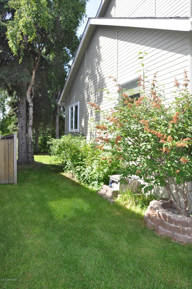 Southside of house, raspberry bushes