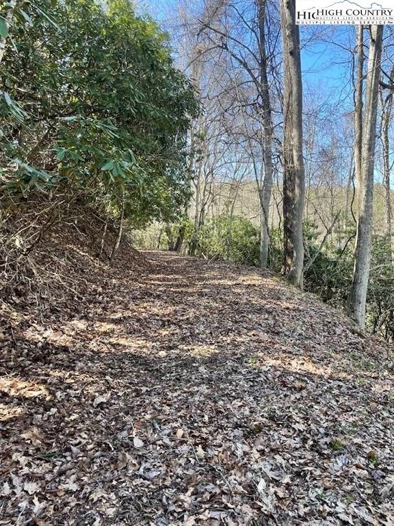 TBD Spruce Ln, Crumpler, NC 28617 - photo 7