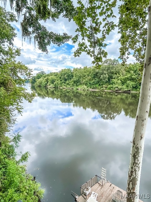 181 Tanglewood Cir, Selma, AL 36701 - photo 7