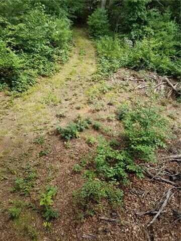 0 Dale Earnhardt Dr unit 3313928, Burnsville, NC 28714 - photo 3