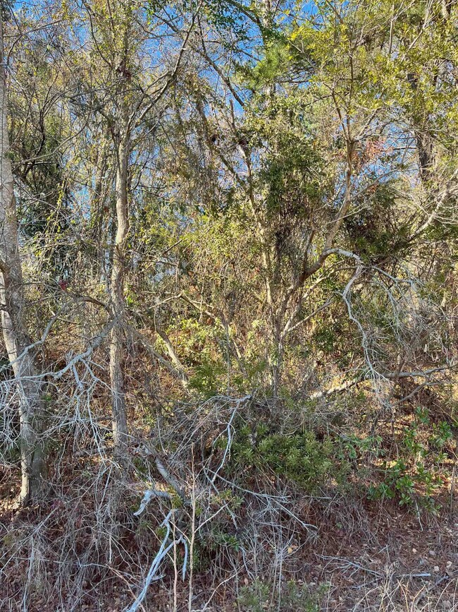 000 Ashley St, Fayetteville, NC 28305 - photo 4