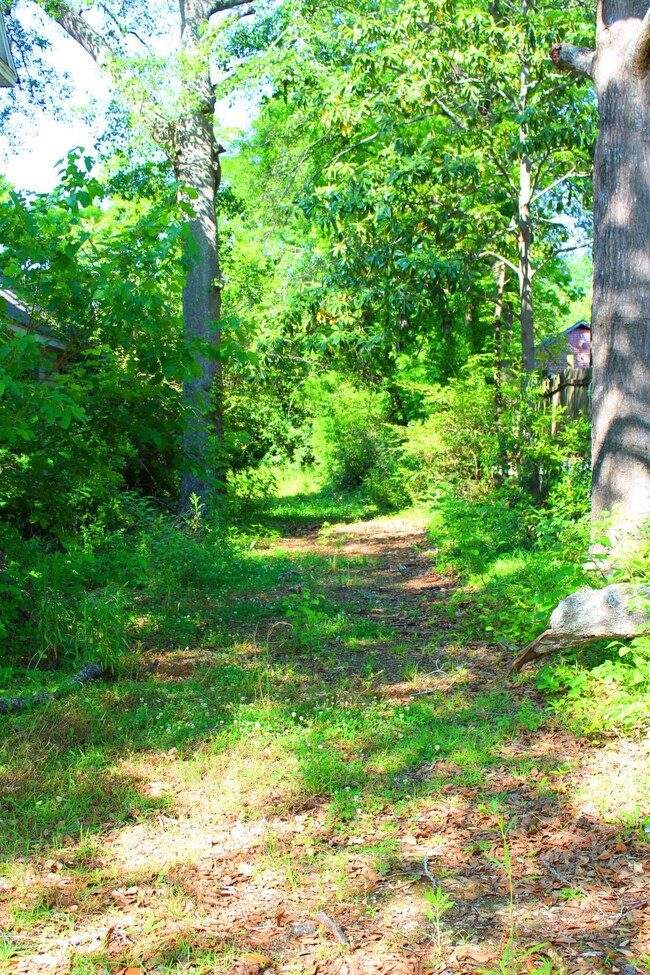 side yard