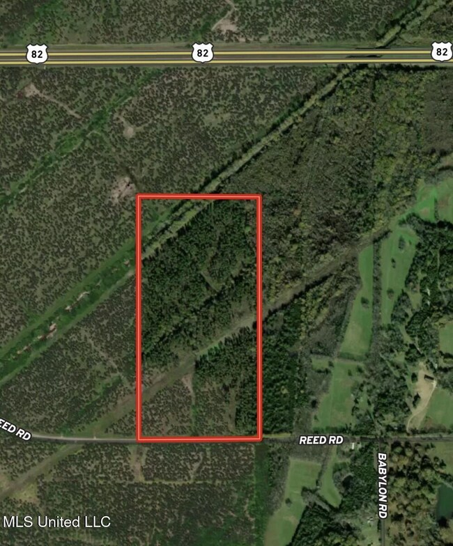 001 Reed Rd, Starkville, MS 39759 - photo 7