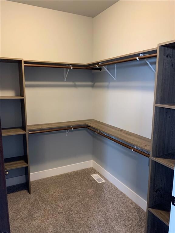 17283 99th Ave N, Chippewa Falls, WI 54729 - photo 5