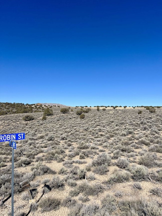 0 Lee Ave unit 3626046, Spring Creek, NV 89815 - photo 2