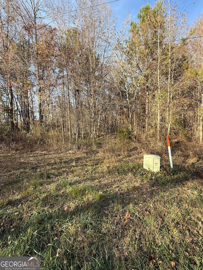 0 Wheeler Cemetery Rd unit 10647289, Maysville, GA 30558 - photo 7