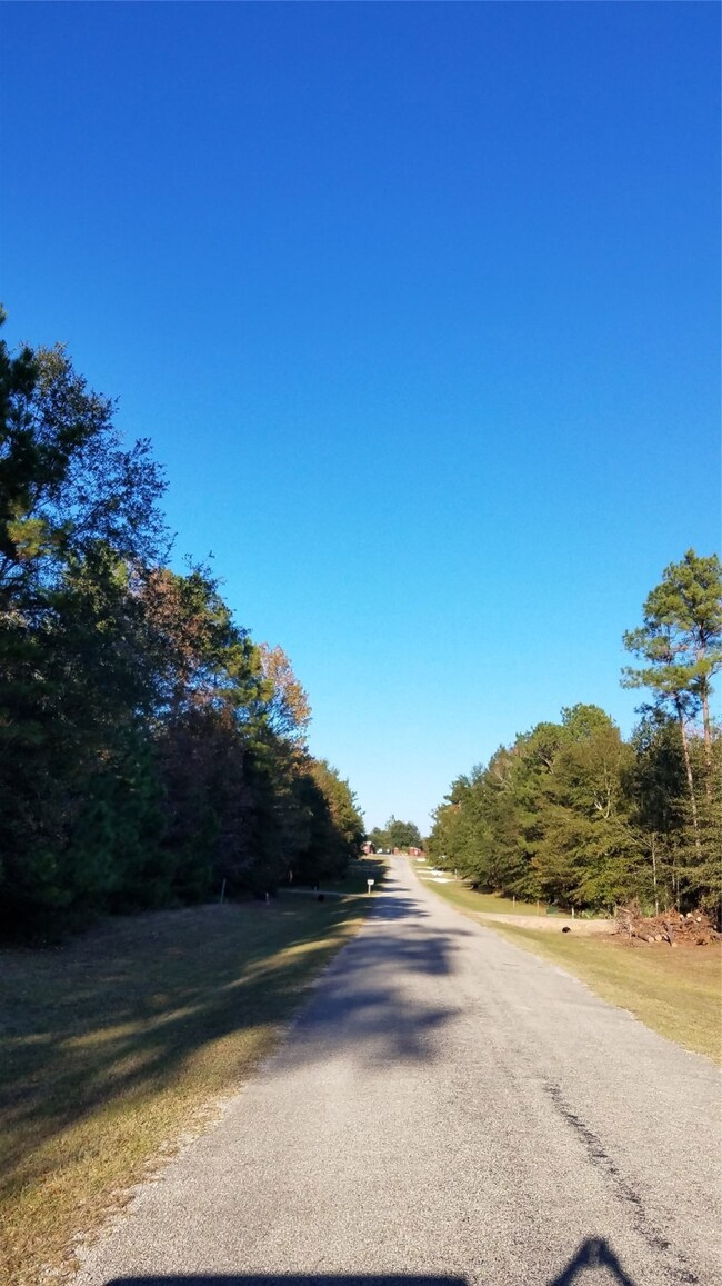 44 Firewood Rd, Huntsville, TX 77340 - photo 3