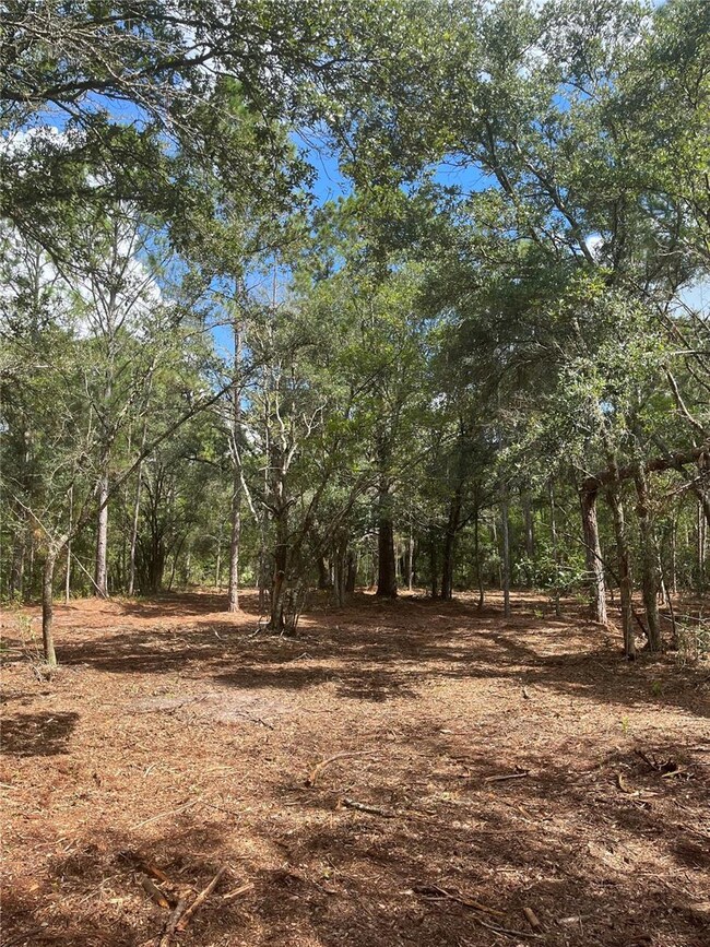 4613 Kola Rd, New Smyrna Beach, FL 32168 - photo 6