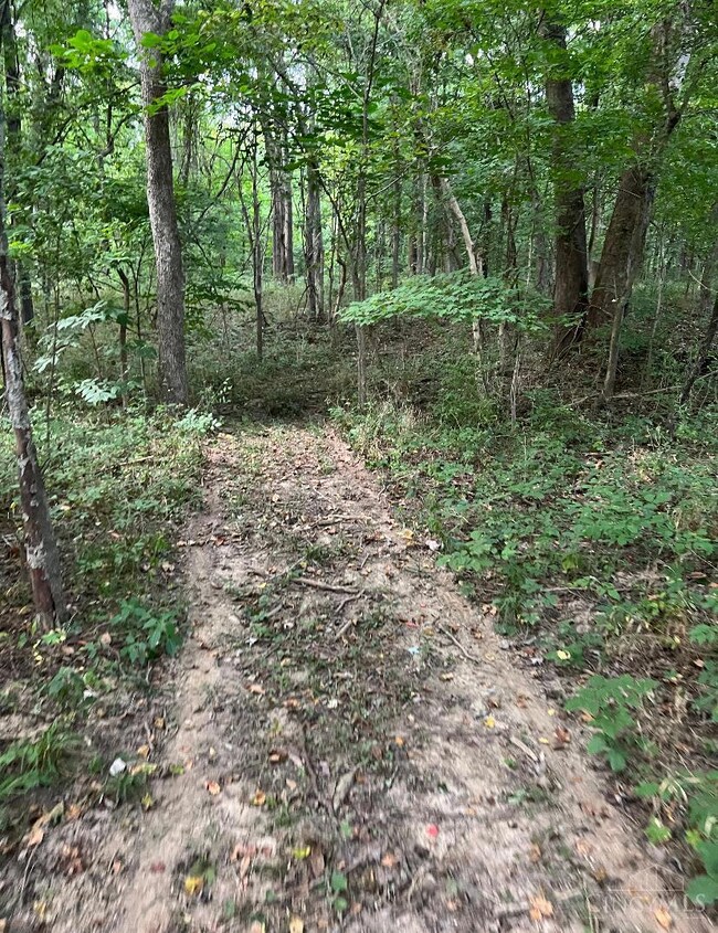 ac Richey Rd, Felicity, OH 45120 - photo 6