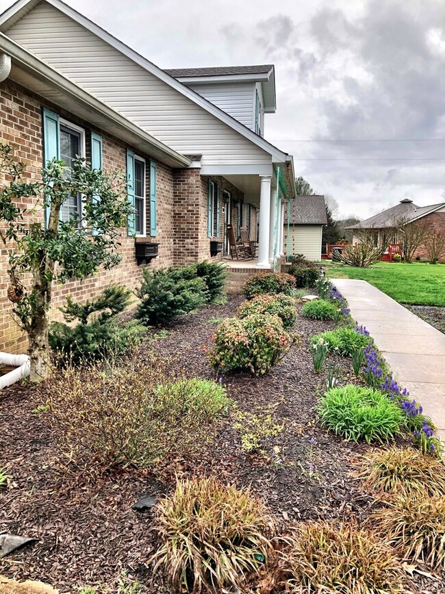 3005 Deerhaven Dr S, Cookeville, TN 38506 - photo 4