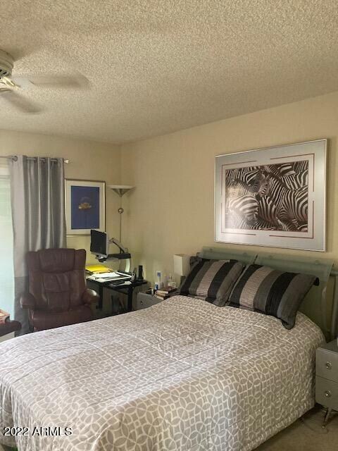 11112 W Emerald Dr, Sun City, AZ 85351 - photo 7