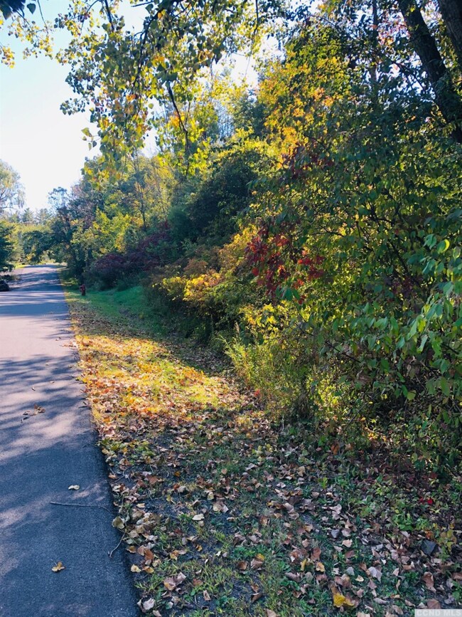53 - A Sleepy Hollow Rd, Athens, NY 12015 - photo 5