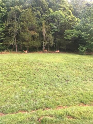 This can be your backyard!