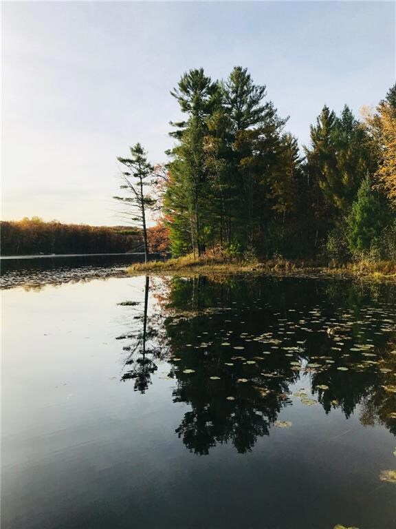 N2422 Loons Bay Rd, Weyerhaeuser, WI 54895 - photo 3