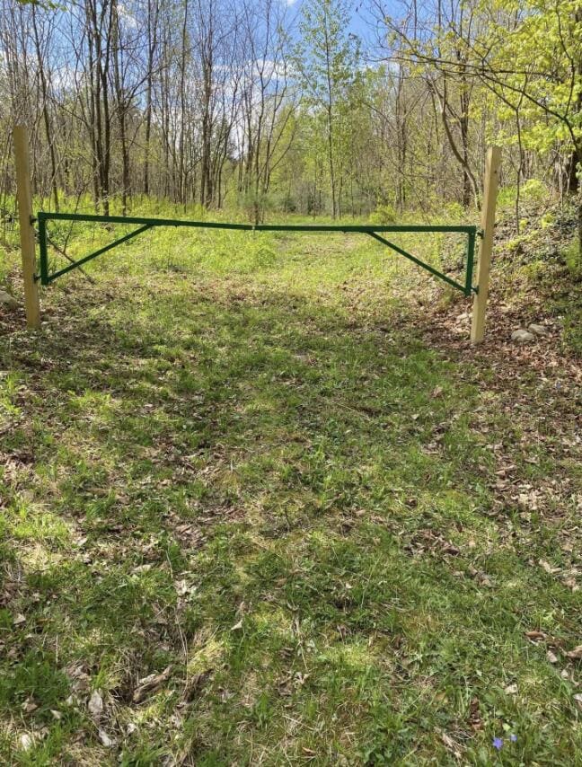 Screenshot 2025-09-01 at 7.54.41PM