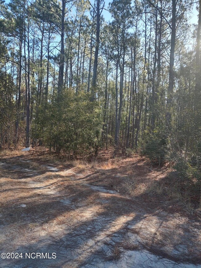 0 Irvine Trail NE, Winnabow, NC 28451 - photo 3