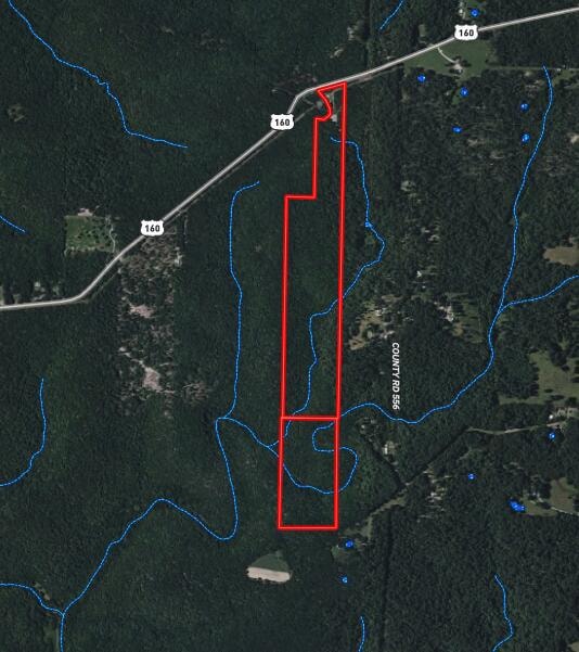 000 U S 160, Sycamore, MO 65760 - photo 2