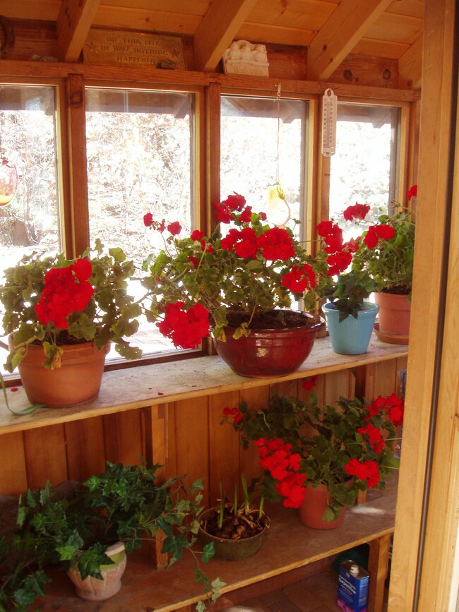 Greenhouse