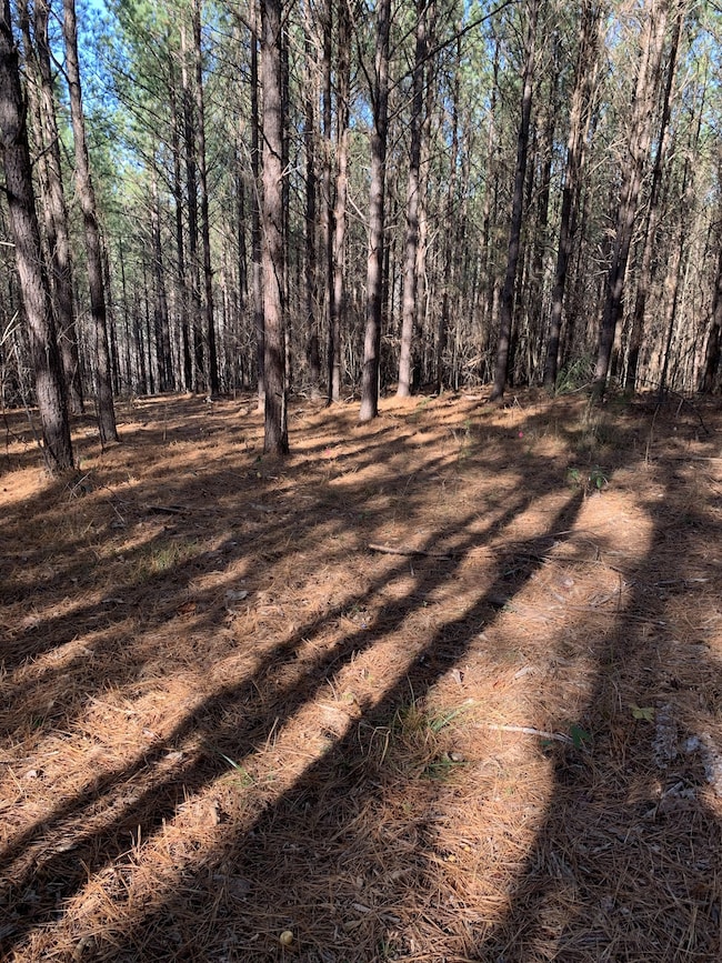 230 Fernwood Dr, Hohenwald, TN 38462 - photo 3