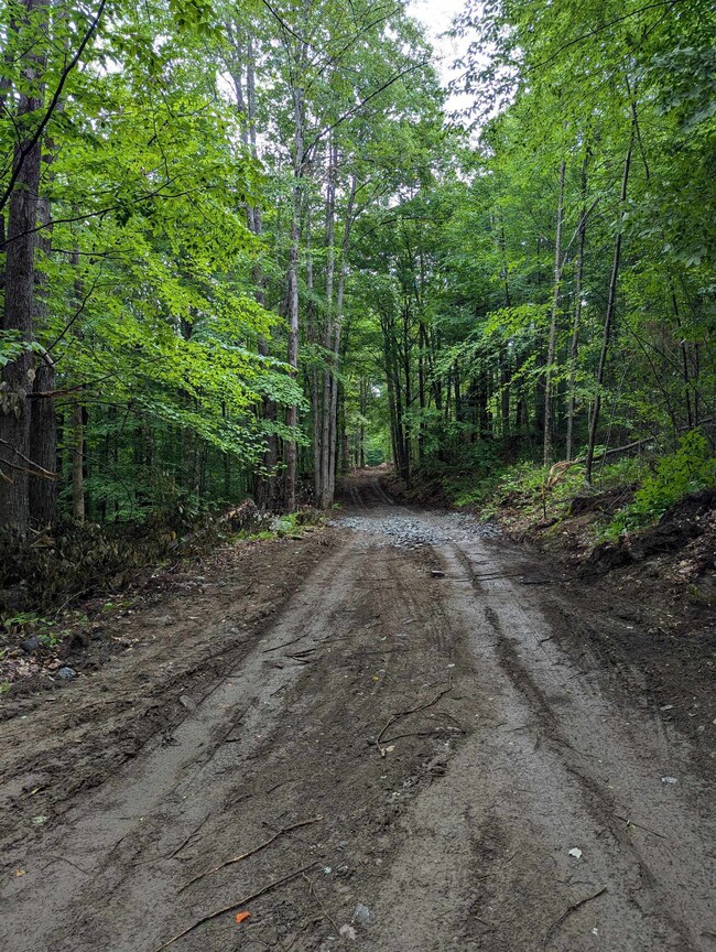 0 Dover Rd unit 5054979, Newfane, VT 05345 - photo 6