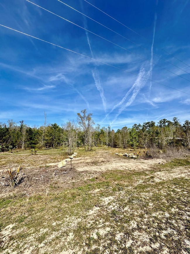 0 SW Highway 361, Steinhatchee, FL 32359 - photo 4