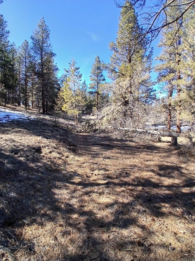 0 Drews Rd unit 220198278, Beatty, OR 97621 - photo 3