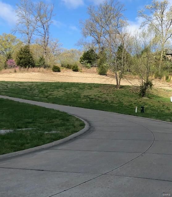 1129 Breton Woods Ct, Chesterfield, MO 63005 - photo 4